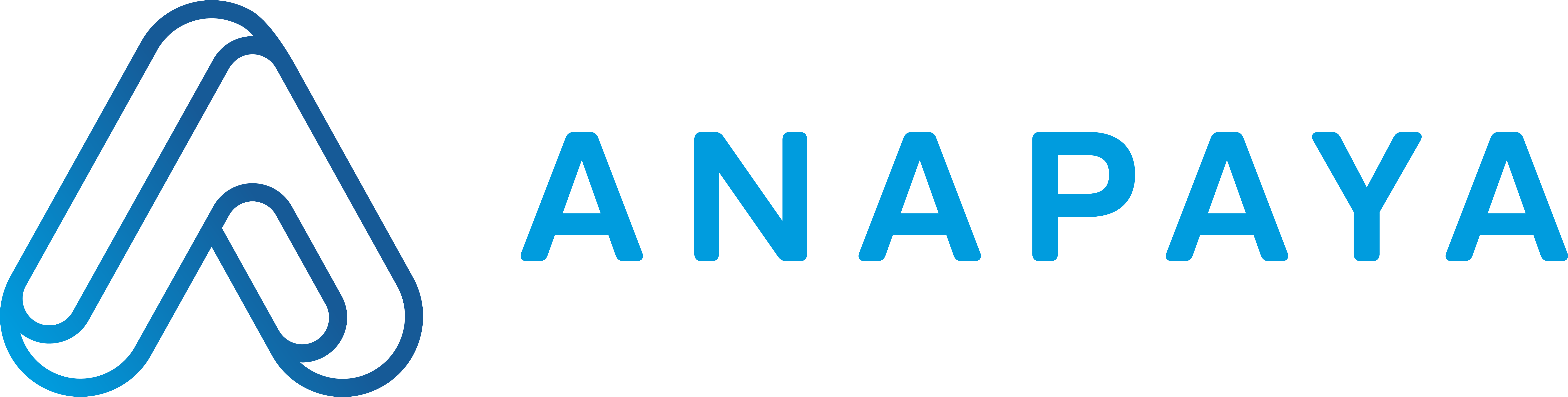 Anapaya logo